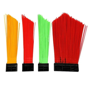 Sanitation Car Broom