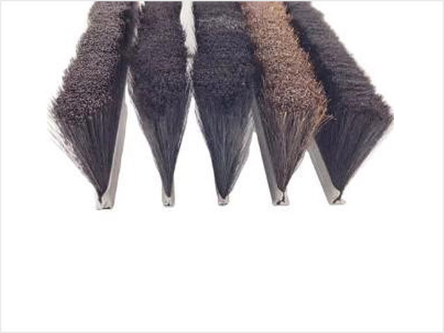 Various of Brush Strip 3