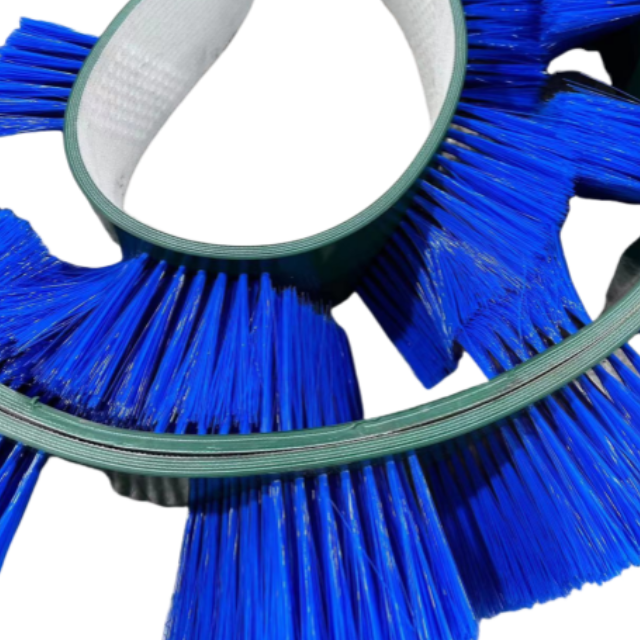 Ring Belt Brush