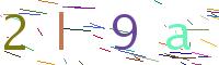 codice di verifica