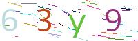 Verify Code