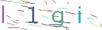 検証コード