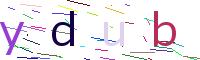 Verify Code