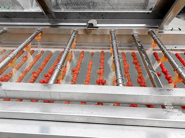Obst- und Gemüsereinigung